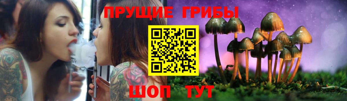 как найти закладки  Вход с VPN  Родники  Псилоцибиновые грибы MAGIC MUSHROOMS 
